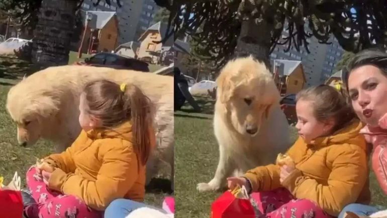 El travieso perrito