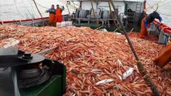 Según las primeras investigaciones, la carga provenía de barcos pesqueros que operan en el puerto de Rawson, en Chubut, y salió hacia Santa Cruz desde una empresa de Trelew (foto ilustrativa)