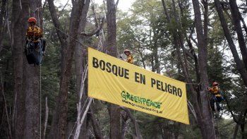 Greenpeace no quiere saber nada con el proyecto inmobiliario Ladera.