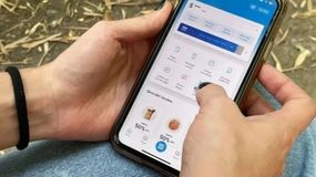 Una comerciante de Río Negro fue víctima de una sofisticada maniobra de phishing. | LMCipolletti.com Una comerciante de Río Negro fue víctima de una sofisticada maniobra de phishing.