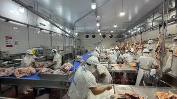 El frigorífico Pilotti trabaja actualmente al 70% de su capacidad y busca ampliar sus operaciones a medida que consolida nuevos mercados.
