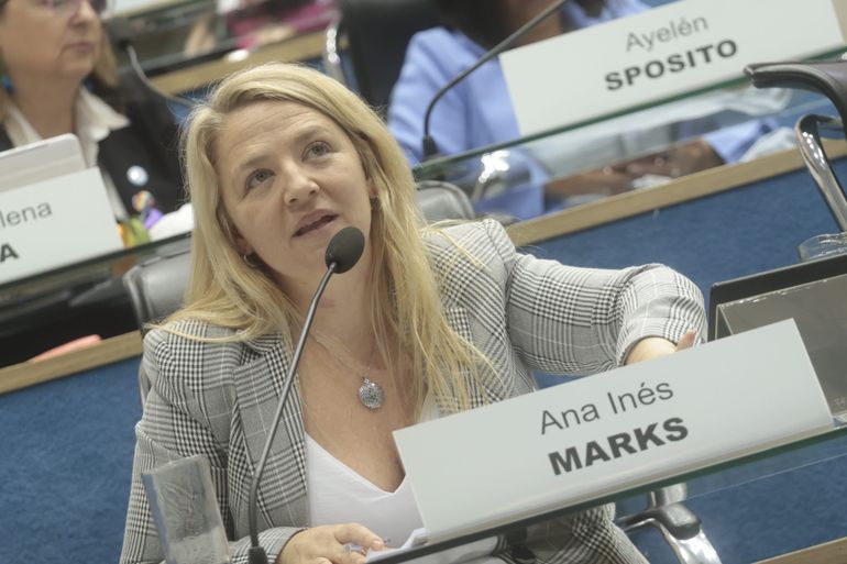 La diputada Ana Marks (PJ-NE) cuestionó la aprobación al mencionar que no se resuelve el problema de fondo.
