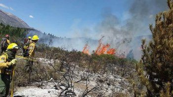 hablo el abogado de los cipolenos acusados por el incendio
