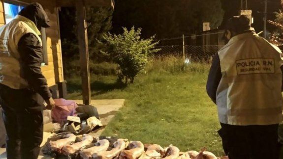 Decomisaron 10 chivos transportados de manera irregular 