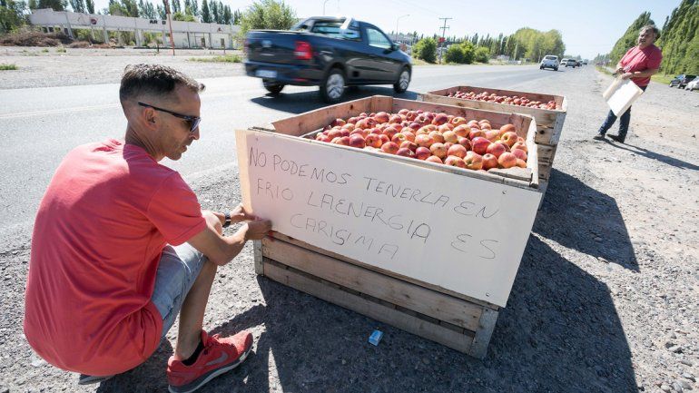 Chacareros tirarán más de 50 mil kilos de fruta en la rotonda de Cipolletti