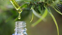 Elaboración de productos medicinales a base de cannabis