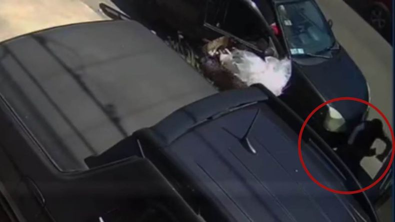 El insóltito intento de robo quedó registrada por las cámaras de seguirodad y rápidamente se viralizó.