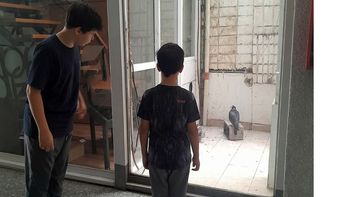 Los halcones heridos quedaron en un patio interno a resguardo gracias a la intervención inicial de los vecinos.
