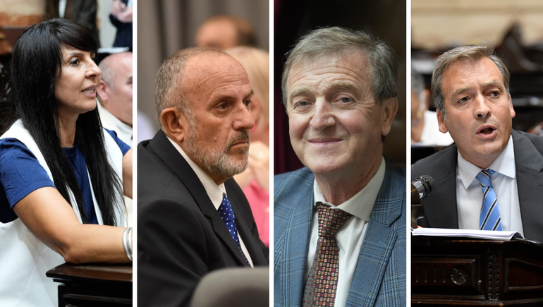 Los Diputados Villaverde, Capozzi y Tortoriello acompañaron la suspensión. Soria, votó en contra.