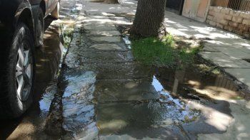 bronca en las 1200: una mama y su beba estan sin agua desde hace dos semanas 