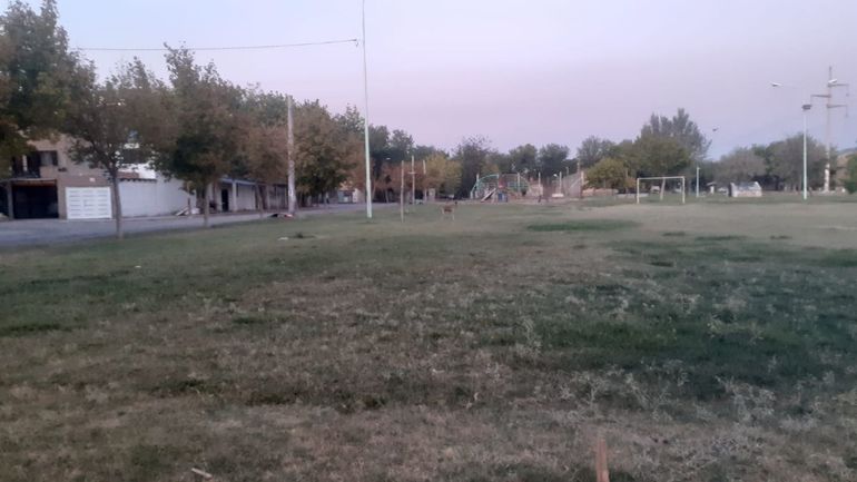 Investigan el asesinato de un joven en las 1200 Viviendas