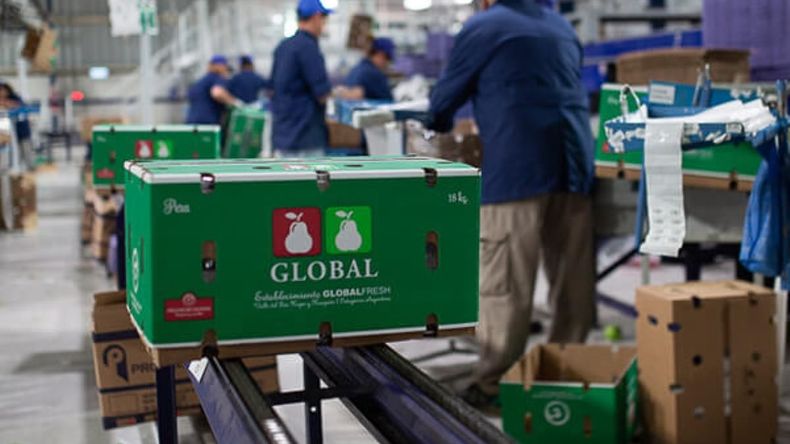La empresa negocia con Grupo Prima la adquisición del histórico establecimiento de Lamarque. La operación incluye tierras productivas, superficie para expansión y un estratégico galpón de empaque. (Foto: Gentileza Global Fresh)&nbsp;
