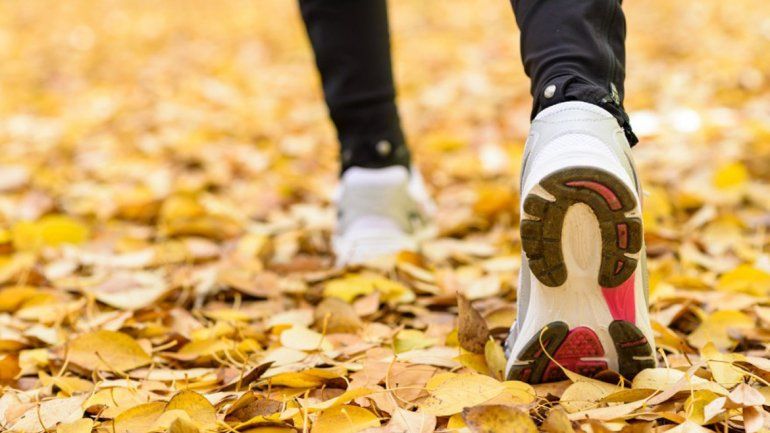 Contra la tradición, el otoño llegó este martes