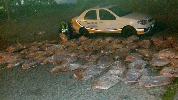 Era transportada por neuquinos desde La Pampa, en una Hilux y un Bora.