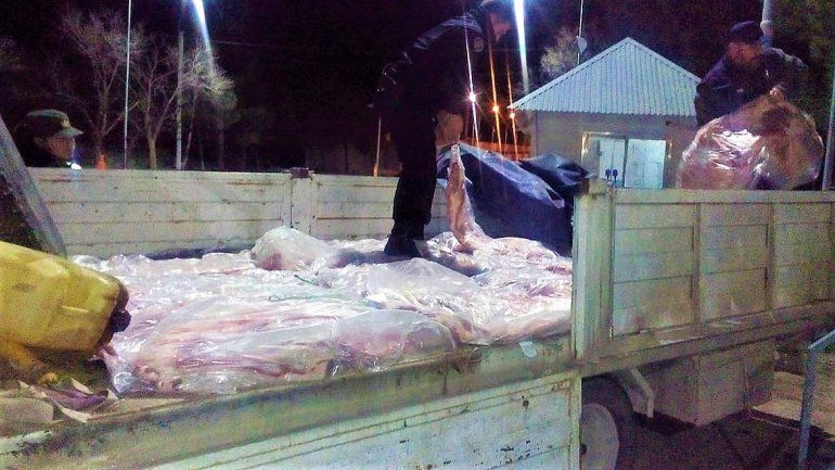 Lo atraparon intentando contrabandear 750 kilos de carne con destino al Valle