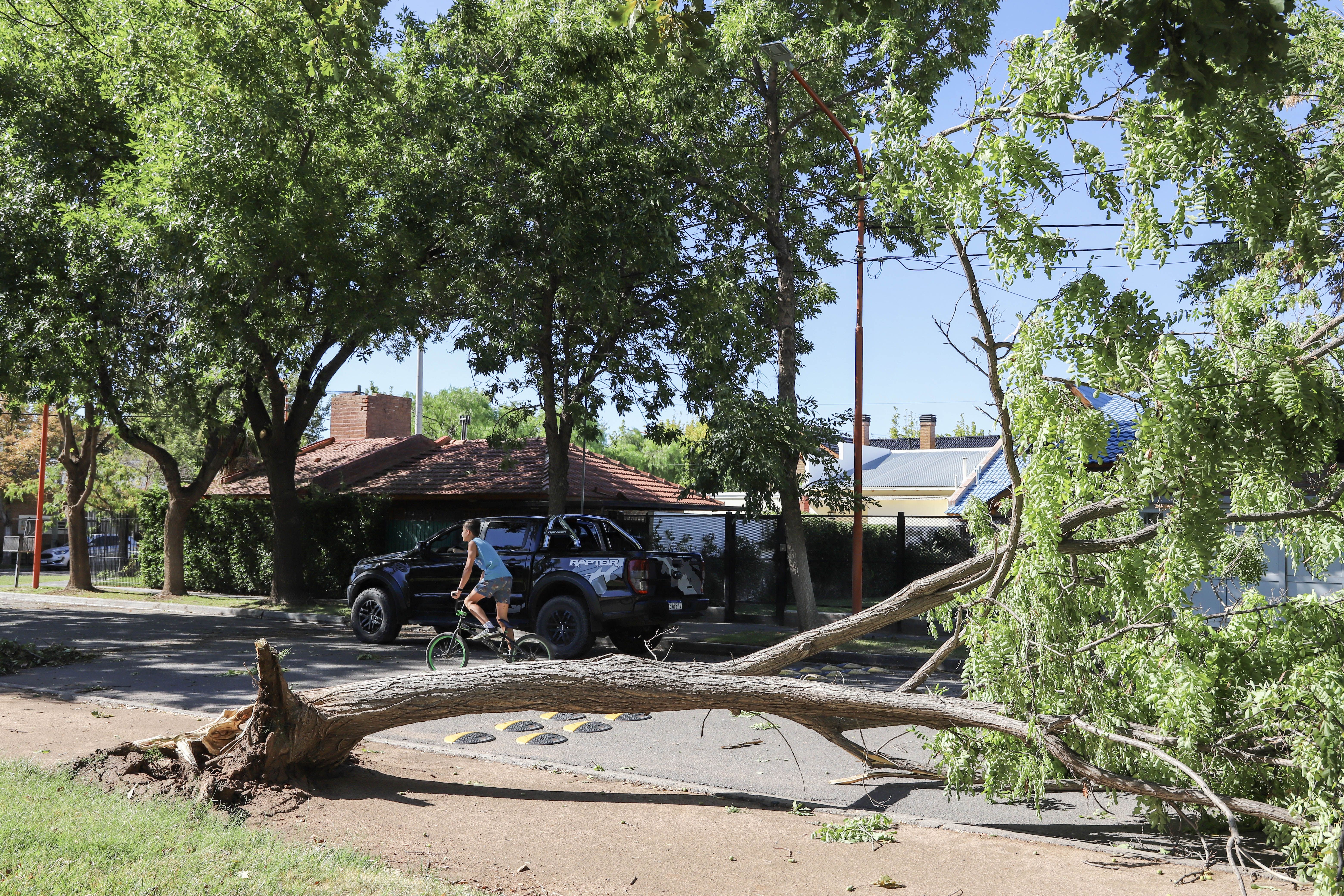 El fenómeno climático en Cipolletti dejó varias secuelas / Foto&nbsp;
