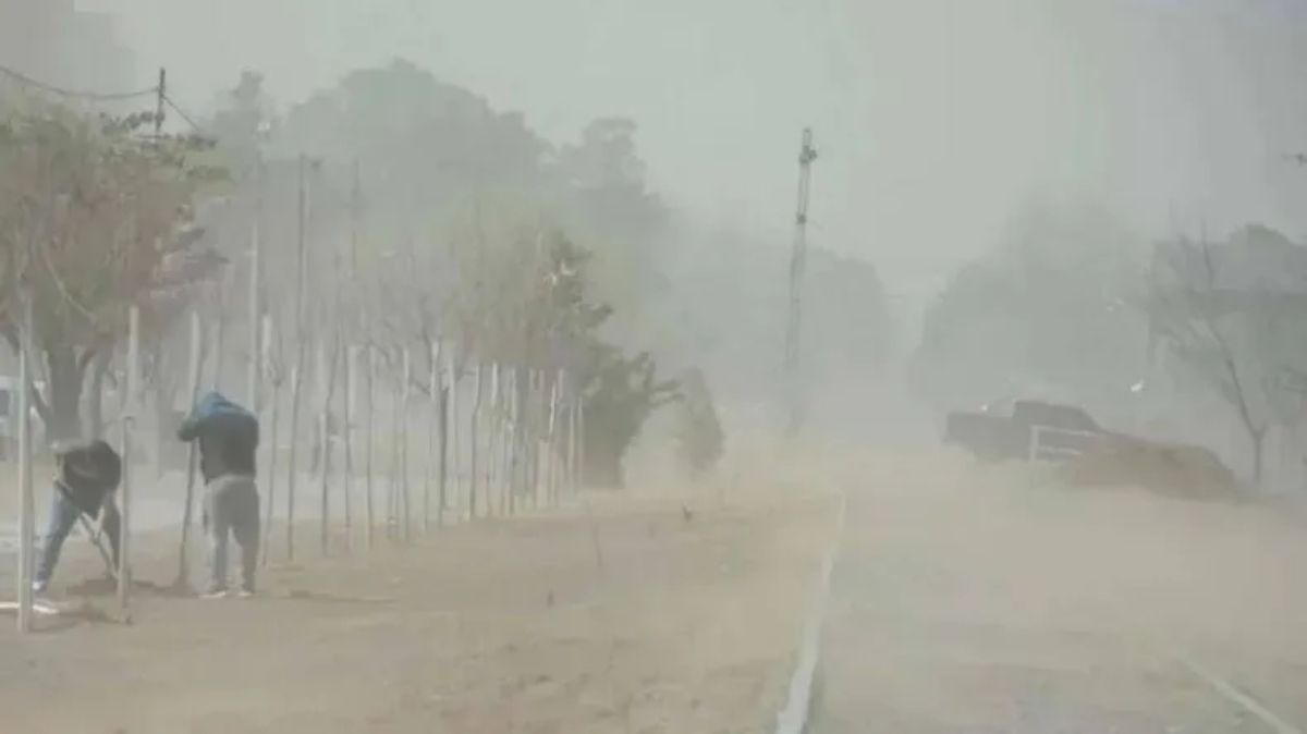 Viento fuerte este viernes en Cipolletti: ¿A cuánto llegarán las ráfagas?
