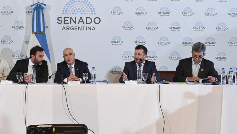 La comisión del Senado verá nuevamente demorada la Ley Bases.