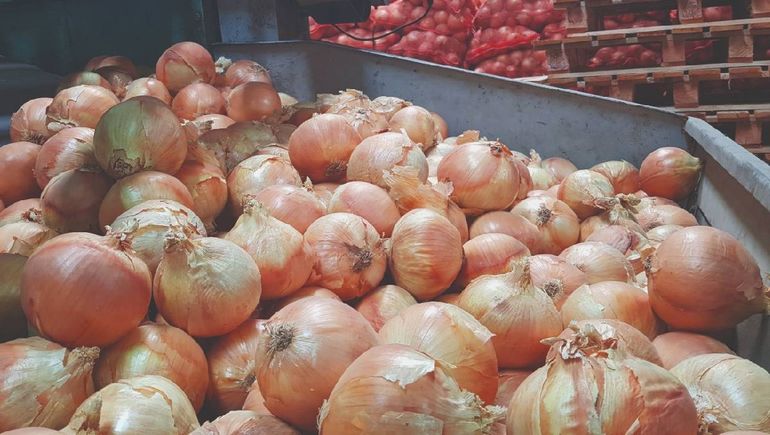 Río Negro es la principal provincia exportadora de cebollas del país.