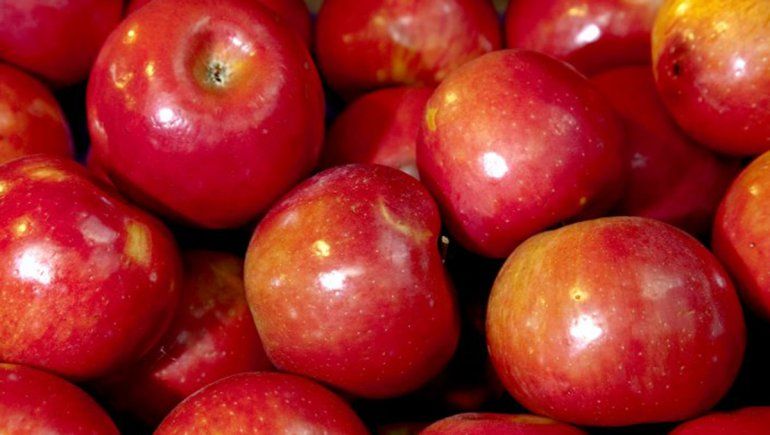 Río Negro sigue aportando más del 80% de las manzanas al país