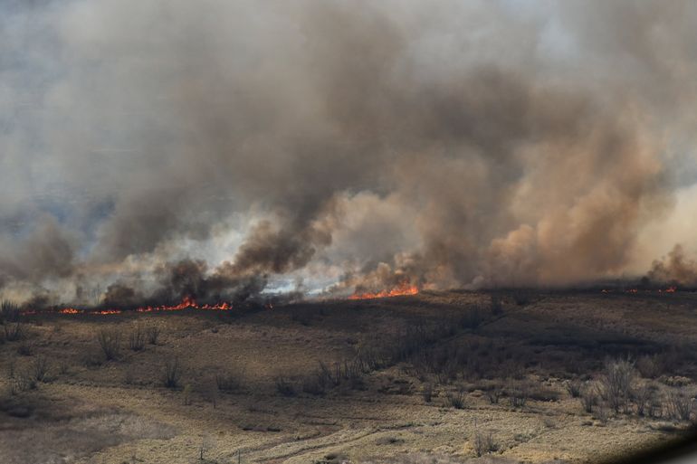Restaurar los humedales del río Paraná tras los incendios llevará más de 300 años