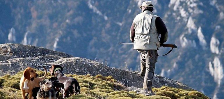 La iniciativa propone considerar a los animales como 