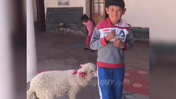 un nene fue a la escuela con su oveja para no dejarla sola en su casa