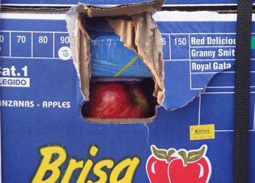 Operativo “Manzanas blancas”: Dos hombres detenidos en San Juan