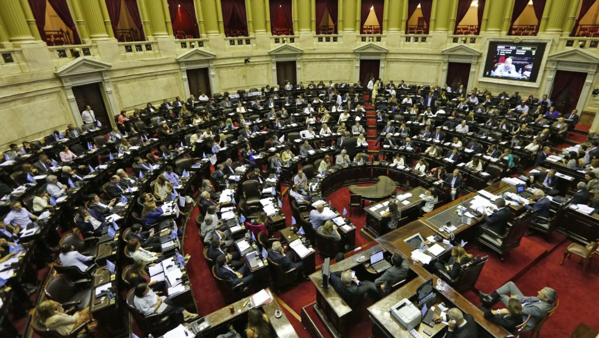 Ley Ómnibus propone modificar la Cámara de Diputados: Río Negro y Neuquén  perderían representación