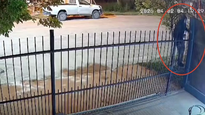 El ladrón se trepó al portón de una casa de Fernández Oro y se robó una bici. Todo quedó registrado por una cámara de seguridad.&nbsp;