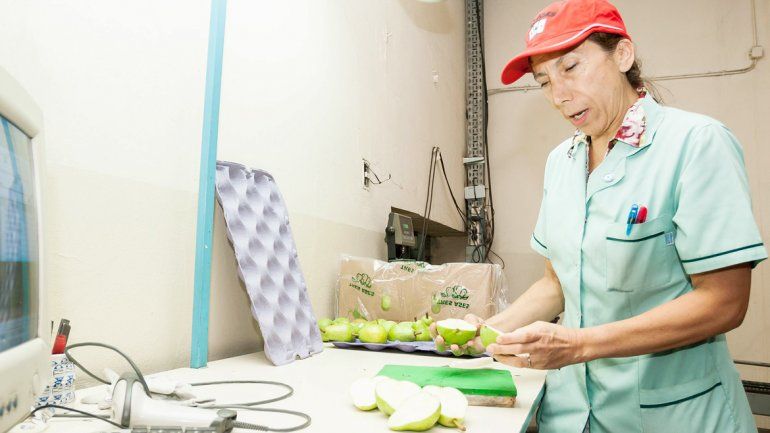 Por exigencia de Brasil