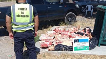 Durante la inspección del rodado, los agentes constataron la presencia de 300 kilos de carne bovina que no cumplía con las condiciones de salubridad exigidas por la normativa vigente. Durante la inspección del rodado, los agentes constataron la presencia de 300 kilos de carne bovina que no cumplía con las condiciones de salubridad exigidas por la normativa vigente.