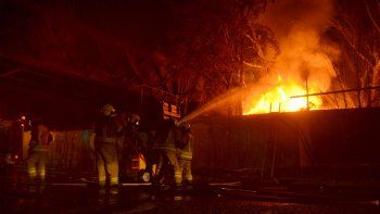 incendio en el vivero: el propietario tenia 500 cubiertas en el patio