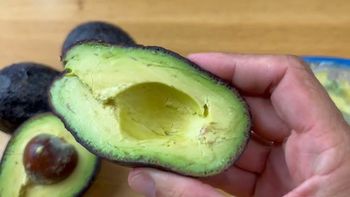 como hacer para madurar las paltas mas rapido: el truco facil que no falla