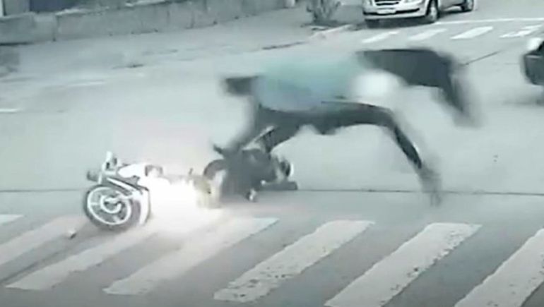 Insólito: un caballo suelto chocó a una motociclista en pleno centro de Necochea