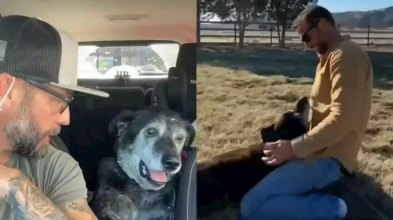 Adoptó el perro más viejo de un refugio para que no muriera solo