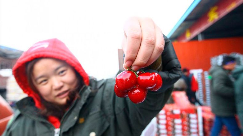 La economía china comienza a mostrar síntomas de cansancio. ¿Cómo afectará las importaciones de cerezas?