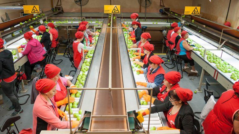 Quieren bajar los costos para las industrias frutícolas.