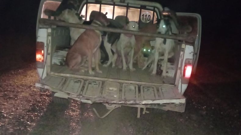 Dos hombres fueron sancionados tras un operativo de efectivos de la Brigada Rural. Foto: Gentileza.