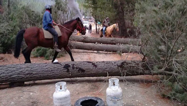 Rociaron el bosque con combustible para que no los desalojen