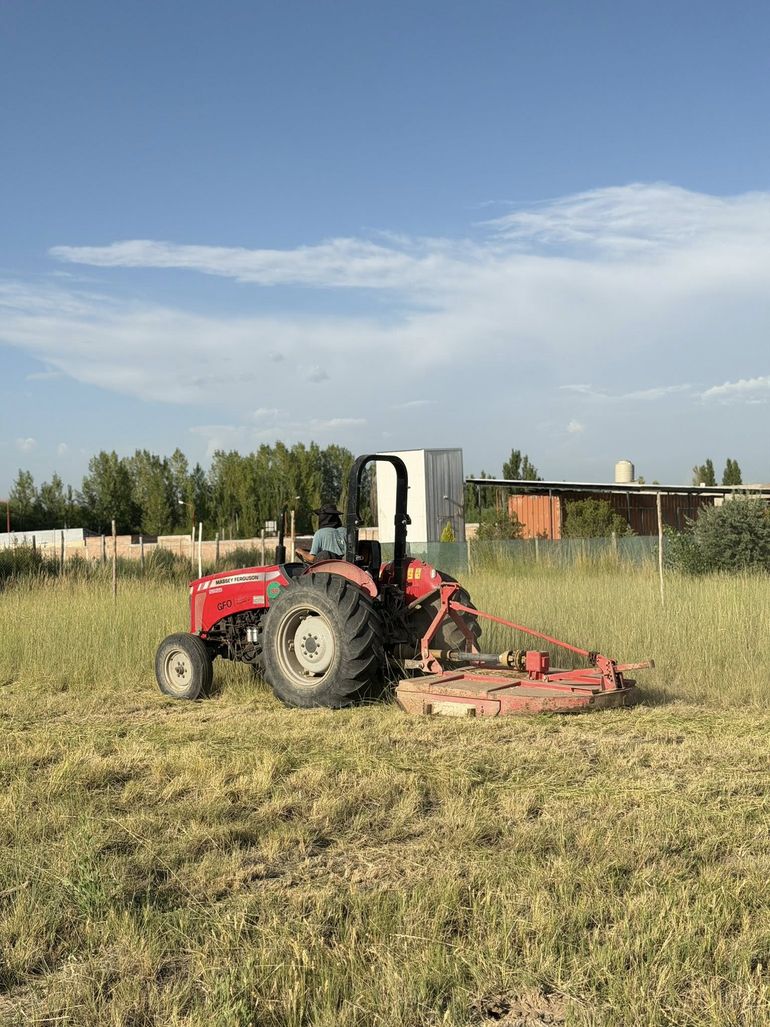 El municipio ya comenzó con los desmalezamientos compulsivos en distintos barrios de la localidad. 