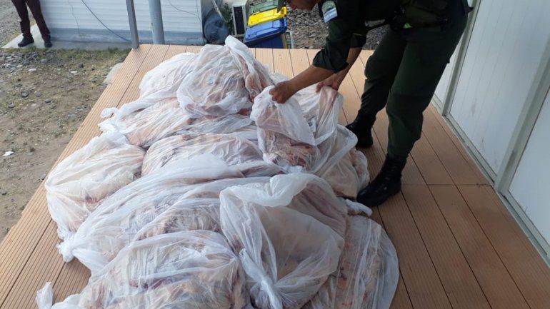 Decomisaron 45 costillares que iban a ser comercializados en Río Negro