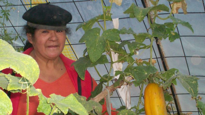 Chabela Toro, tercera generación de agricultoras, defiende la tierra con sus manos en Villa Llanquín. Su pasión la lleva, por segunda vez, a la nominación del Premio Lía Encalada. Foto: Gentileza