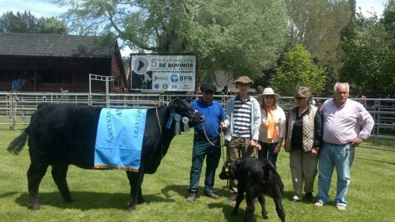 Un toro de Luis Beltrán, campeón en la quinta Expo Bovina de Neuquén