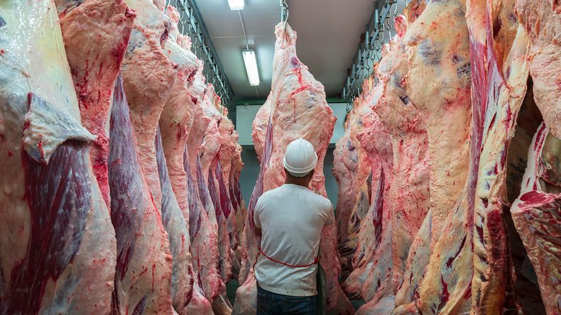 Exportaciones de carnes argentinas no se recuperan.
