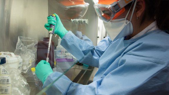 Coronavirus: prueban vacunas para frenar el contagio