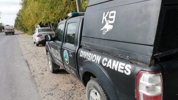 un vidente se sumo a busqueda de perro robado en roca un vidente se sumo a busqueda de perro robado en roca