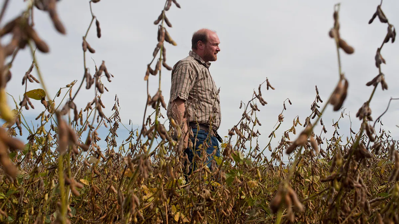 Reestructuración en foco: baja de siembra propia, énfasis en originación y acopios con 700.000-800.000 ton/año. | LMCipolletti.com Reestructuración en foco: baja de siembra propia, énfasis en originación y acopios con 700.000-800.000 ton/año.