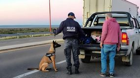 La Policía rionegrina realizó controles antidrogas en distintos puntos de la provincia. No se concretaron secuestros ni detenidos. | LMCipolletti.com La Policía rionegrina realizó controles antidrogas en distintos puntos de la provincia. No se concretaron secuestros ni detenidos.