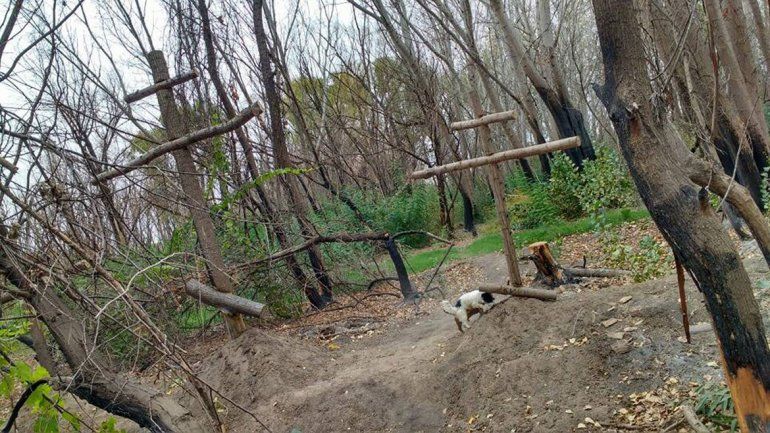 Un hombre denuncia que hicieron un rito religioso en su chacra de Centenario